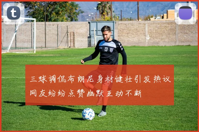 三球调侃布朗尼身材健壮引发热议网友纷纷点赞幽默互动不断