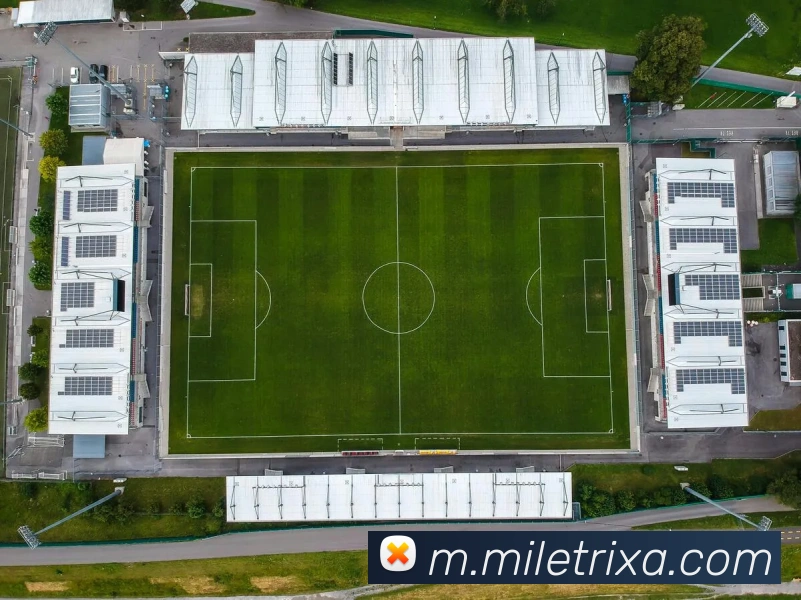 米乐体育平台生态图