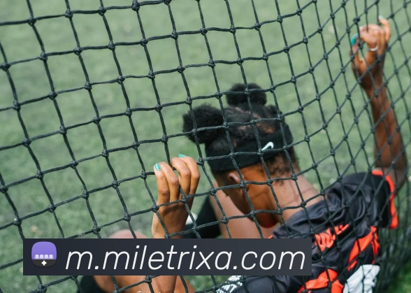 米乐体育APP 封面图